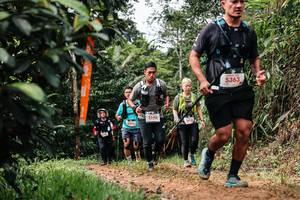 BIB: 
                            <button type="button" onclick="openModal(26442447)" class="btn btn-primary btn-sm float-right btn-popup" data-toggle="modal" data-target=".modal-high-quality">
                        <i class="fas fa-shopping-cart"></i> Add to Cart
                    </button>
                                            <button type="button" onclick="isThisMe(26442447, true)" class="btn btn-success btn-sm float-right btn-popup btn-isme hidden" data-toggle="tooltip" data-placement="bottom" title="นี่คือรูปของคุณใช่ไหม คลิกที่นี่เพื่อเอาเข้าอัลบั้ม">
                        <i class="fas fa-plus"></i> Add to album
                    </button>
                    <button type="button" onclick="isThisMe(26442447, false)" class="btn btn-warning btn-sm float-right btn-popup btn-isnotme hidden">
                        <i class="fas fa-ban"></i> Remove from album
                    </button>